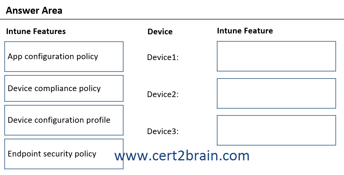 www.cert2brain.com